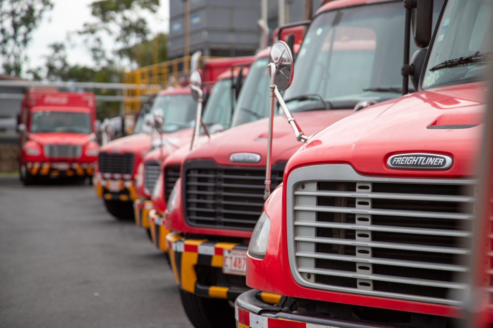 Coca-Cola FEMSA impulsa su transformación con energía renovable